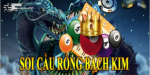 Soi Cầu Rồng Bạch Kim