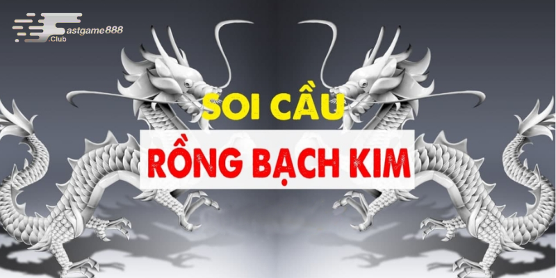 Nhiều cao thủ áp dụng soi cầu 247 Rồng Bạch Kim để tìm ra quy luật