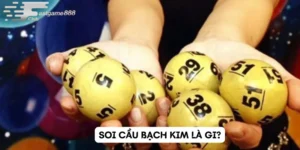 Soi Cầu Bạch Kim
